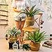 URFORESTIC Natural Woven Seagrass Tote Belly Basket for Storage, Laundry, Picnic, Plant Pot Cover, and Beach Bag (Large)