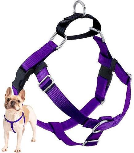 Amazon.com : 2 Hounds Design Freedom No Pull Dog Harness