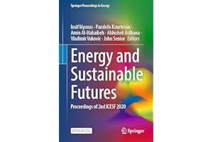 Energy and Sustainable Futures: Proceedings of 2nd ICESF 2020 (Springer Proceedings in Energy)