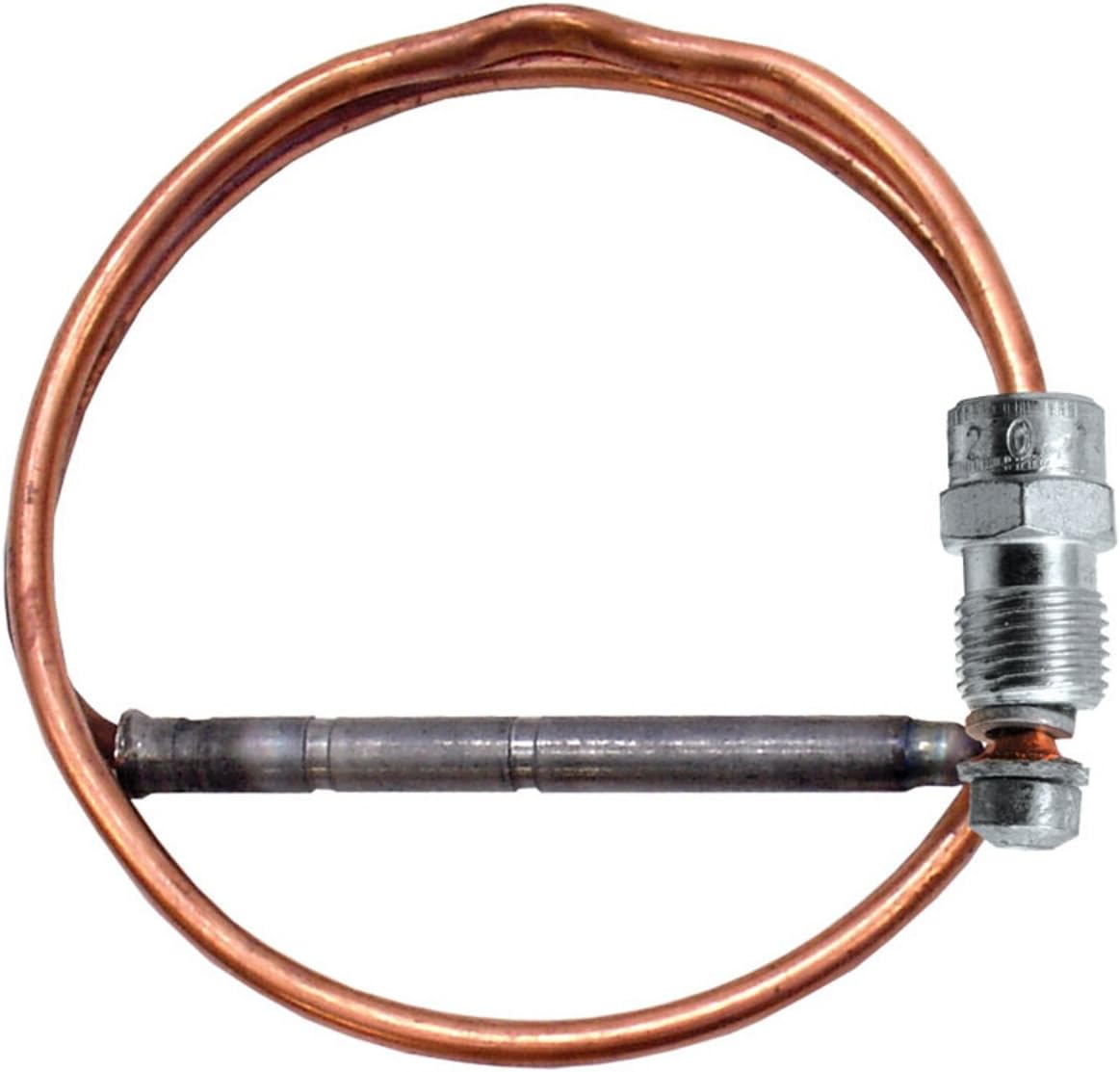 Rheem AP67089 Element Gasket, Heating Elements Amazon Canada