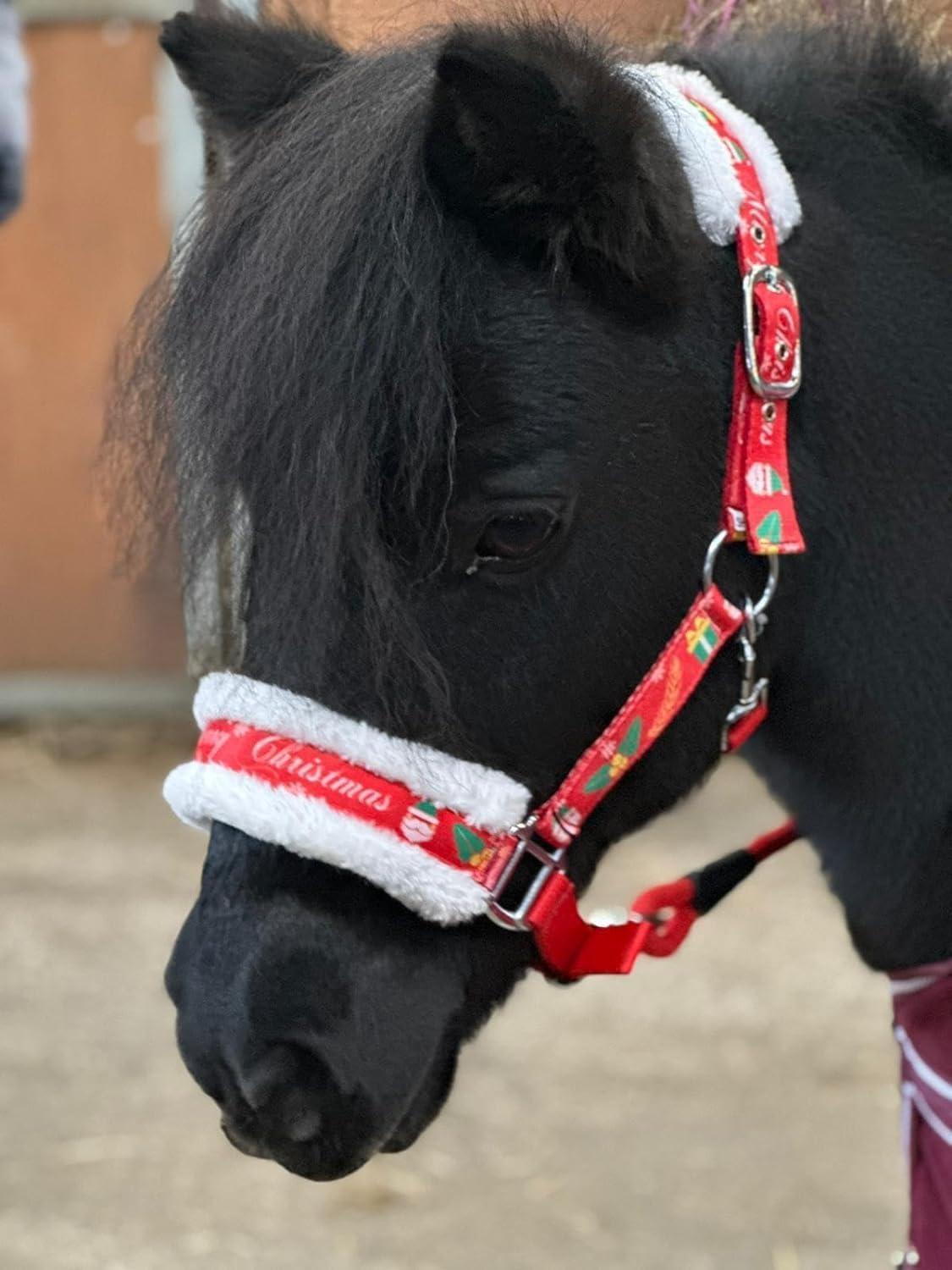 Horse Headcollar Lead Rope Set with Christmas Print Red Full-Mini Shetland Red (Pony)