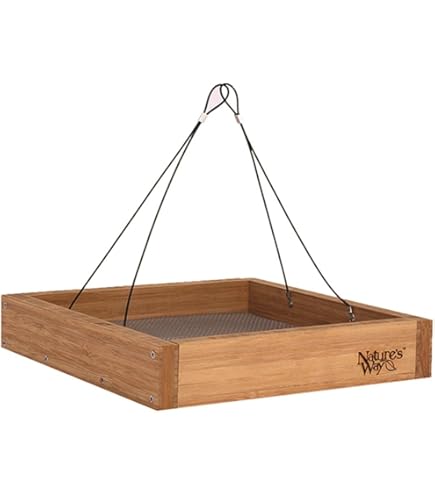 Amazon.com : Zenport Z203009 2-in-1 Platform Bird Feeder