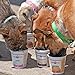 Puppy Scoops Dog Ice Cream Mix (Peanut Butter Flavor), 4.65 oz - Just Add Water and Freeze at Home, Powder Mix with Ice Cream Cup and Reusable Lid - Made in USA