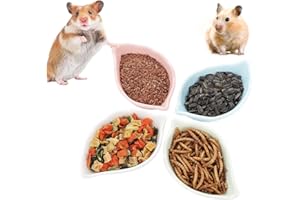 DQITJ 4 Pack Hamster Ceramic Food Bowl, Small Animals Chew-Resistant Food and Water Dish for Hamster Gerbil Hedgehog Rat Rodent (Colors May Vary)