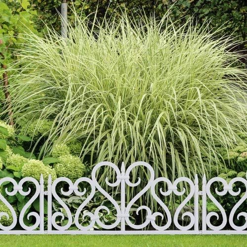 Relaxdays Set de 4 separadores de jardín, Valla decorativa, Con ...