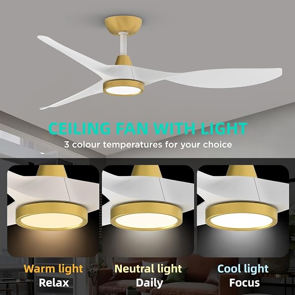 ROOMRATV CEILING FANS WITH LIGHTS,LARGE AIRFLOW 52INCH MODERN CEILING FAN WITH QUITE REVERSIBLE DC MOTOR 3 COLOR TEMPERATURE LED LIGHT (WHITE GOLD)