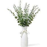 Grecezvk Faux Plants Indoor - Artificial Eucalyptus Stems in White Vase, Small Fake Greenery for Farmhouse Home Decor, Bathroom, Office, Classroom & Kitchen (Sage Green)