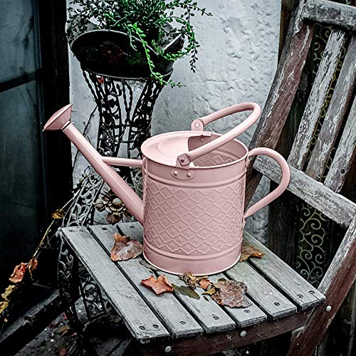 HORTICAN 1 Gal Galvanized Steel Watering Can Decorative Farmhouse Style Watering Can, Removable