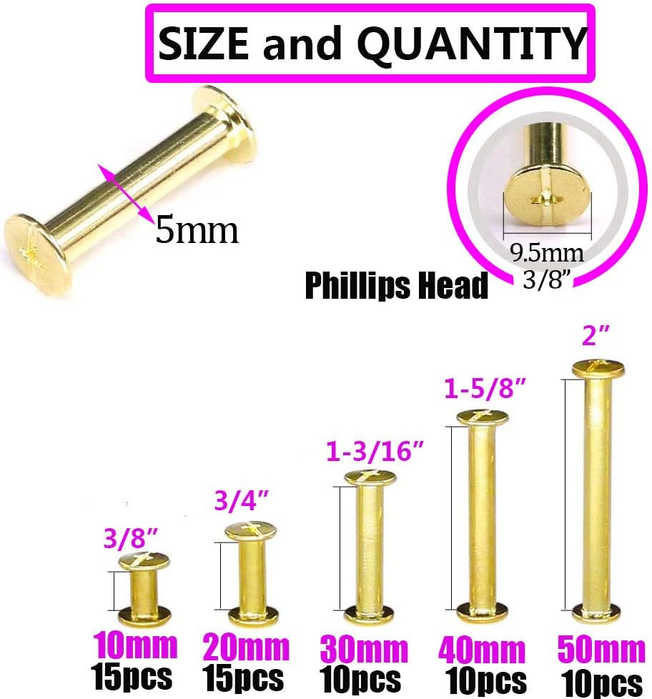 Socell 120pcs Golden Phillips Chicago Screw Binding Screws Posts Assortment Kit for Scrapbook Photo Albums Craft and DIY Leather Decoration Bookbinding(M5 x 10/20/30/40/50) : Office Products