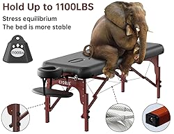 CLORIS 84" Professional Massage Table Portable 2