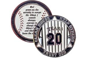 MYRECOVERYSTORE 20 Year AA Medallion Pinstripe Yearly Alcoholics Anonymous chip w/Coin Holder