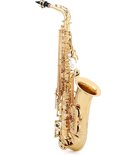 Amazon.com: Yamaha YAS-480 Intermediate Eb Alto Saxophone