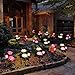 Anordsem Rose Lights Solar Powered for Women: Garden Light Waterproof for Yard Decorations Outdoor - Flower Lamp Colorful Lighting Cemetery Decor - Valentine's Mother's Day Gifts for Mom Wife