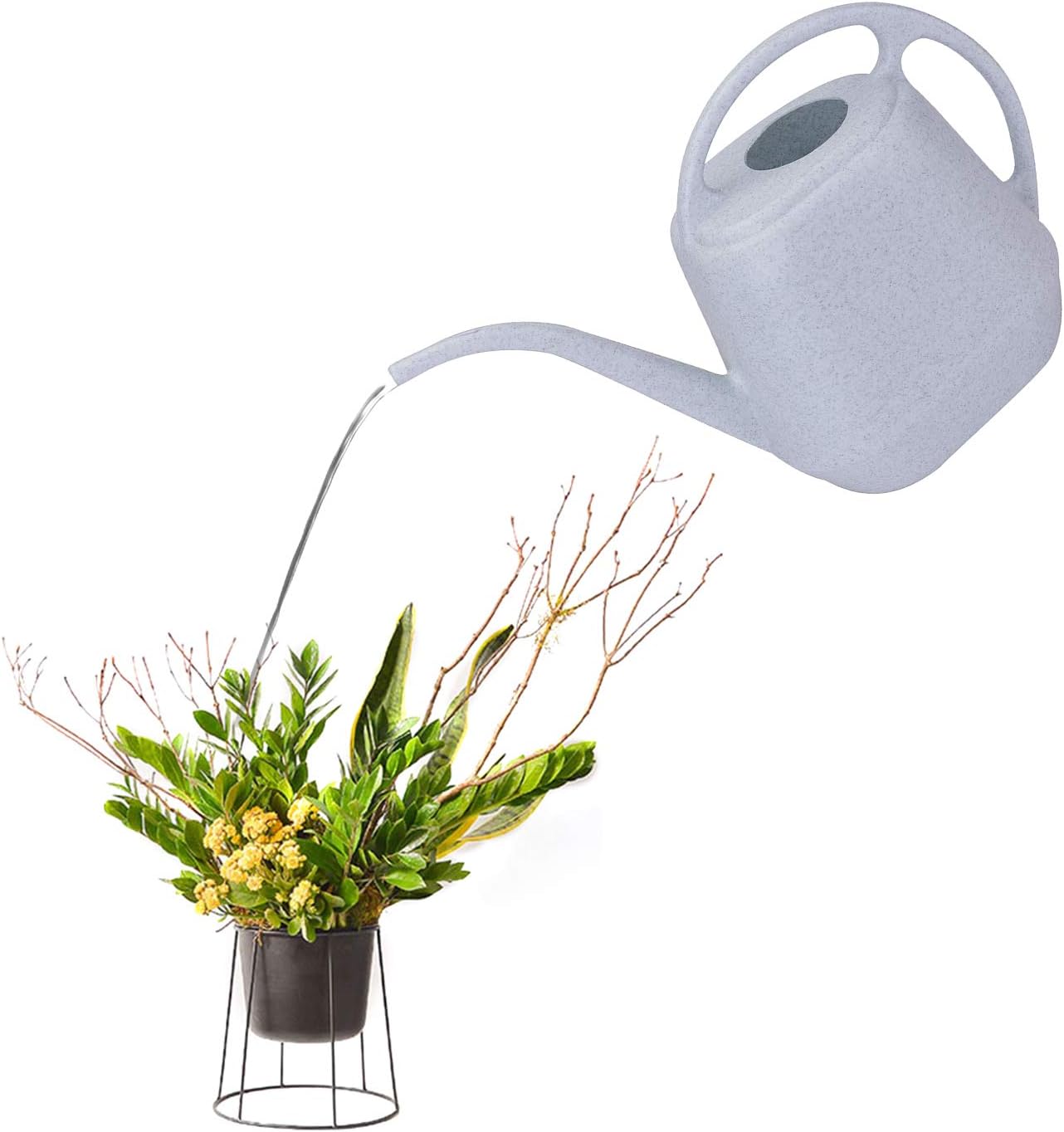 Fasmov Plastic Watering Can, 1-Gallon : Garden & Outdoor