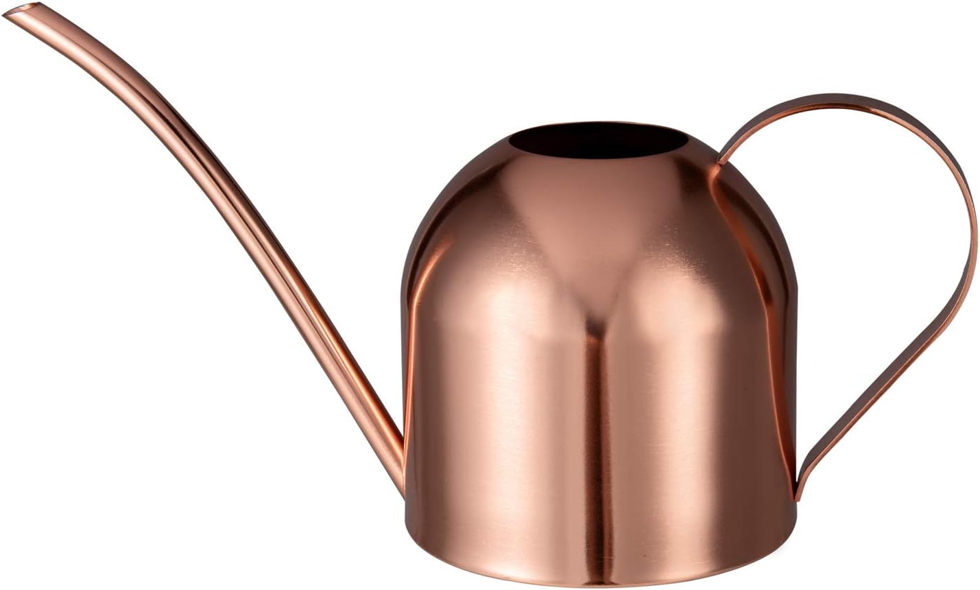 IMEEA 900ml Indoor Watering Can Stainless Steel Water Can with Long Spout for House Plants(Rose Gold), 33oz/1000ml