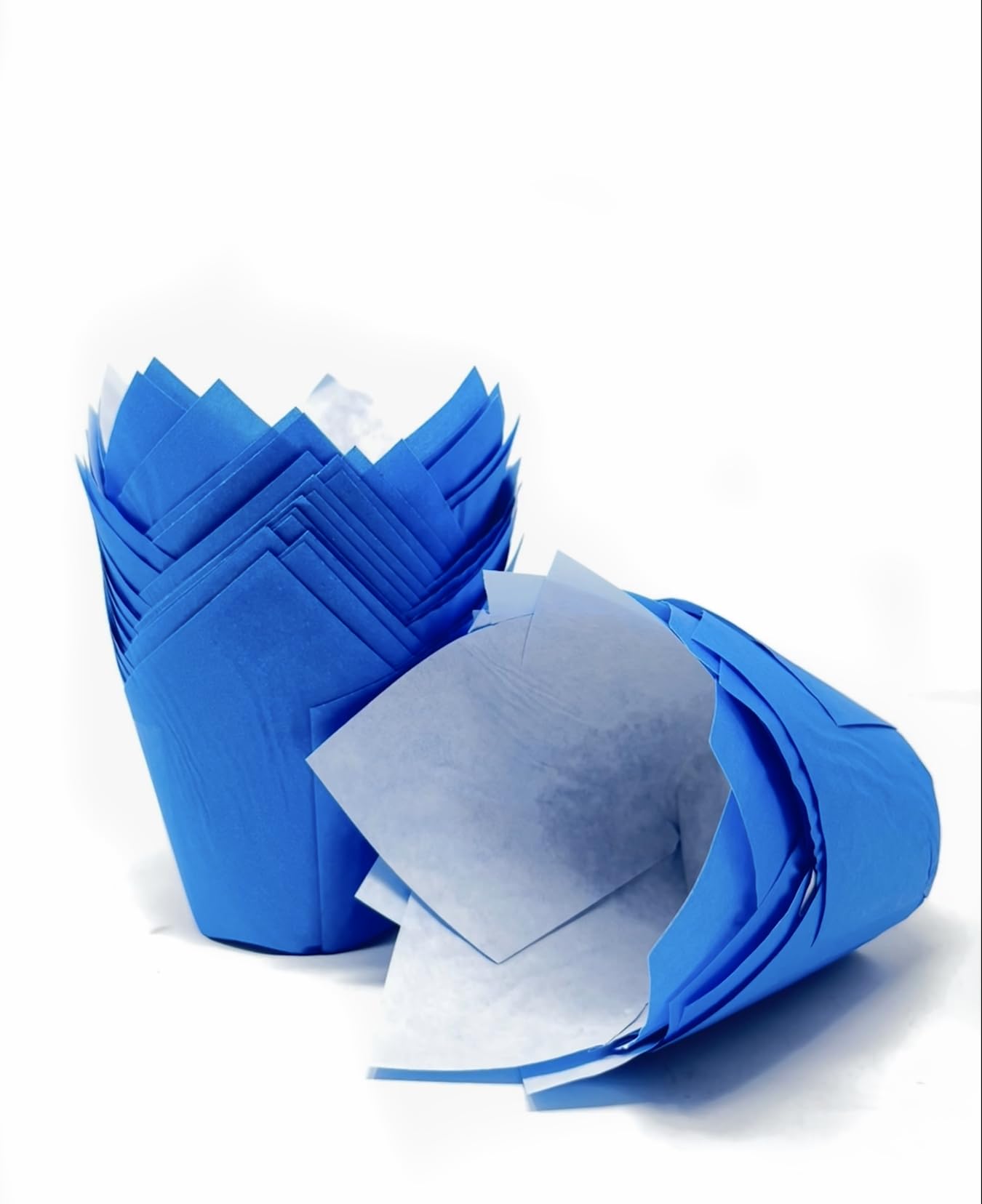 50 Blue Tulip Muffin Wraps Cases