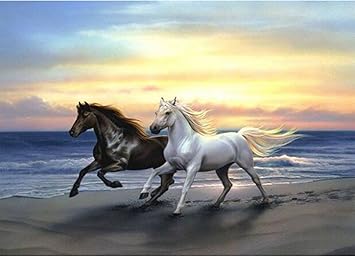 Amazon Fipart Diyクロスステッチキットダイヤモンド絵画 インテリア クリスマス プレゼント ホーム レストラン 装飾 クリスタル ラインストーン 馬 12 16インチ 30 40cm 刺しゅうキット 通販