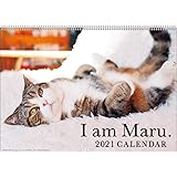 2021 Maru-chan WALL Calendar 1000115886 Vol.028 I am Maru