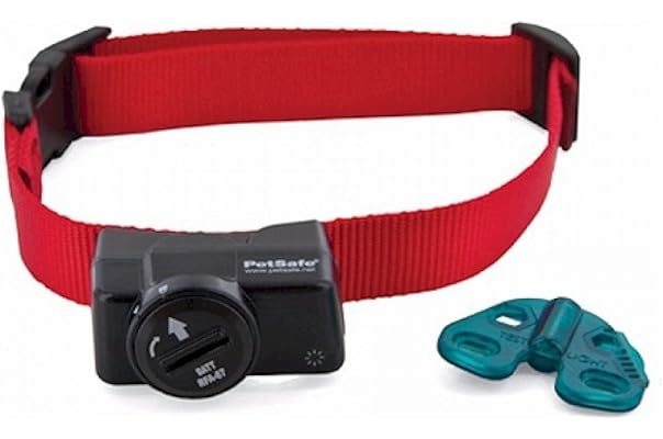 dog shock collar system
