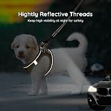 BELLA & PAL Dog Harness and Leash Set XXS Khaki Breathable Reflective view 6