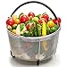 Ecardy 6qt Steamer Basket Compatible with Instant Pot Accessories 6 qt [3qt 8qt available] - Compatible with Instant Pot Steamer Basket 6 quart - Steam Vegetables, Eggs - Fits Most Pressure Cookers
