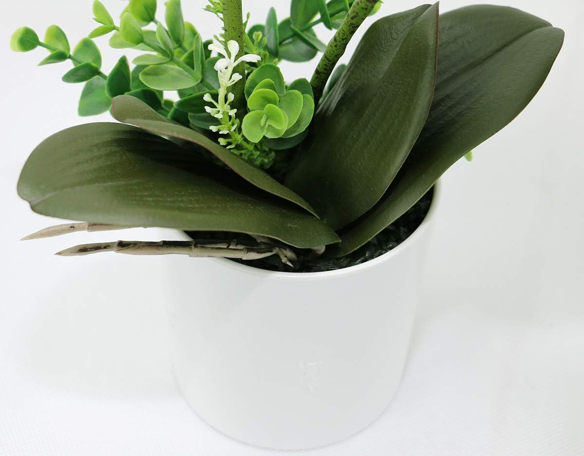 Olrla White Artificial Orchid Flowers in Pot, Faux Butterfly Orchids for Home Office Bathroom Decoration Table Centerpieces (White 2) - Image 5