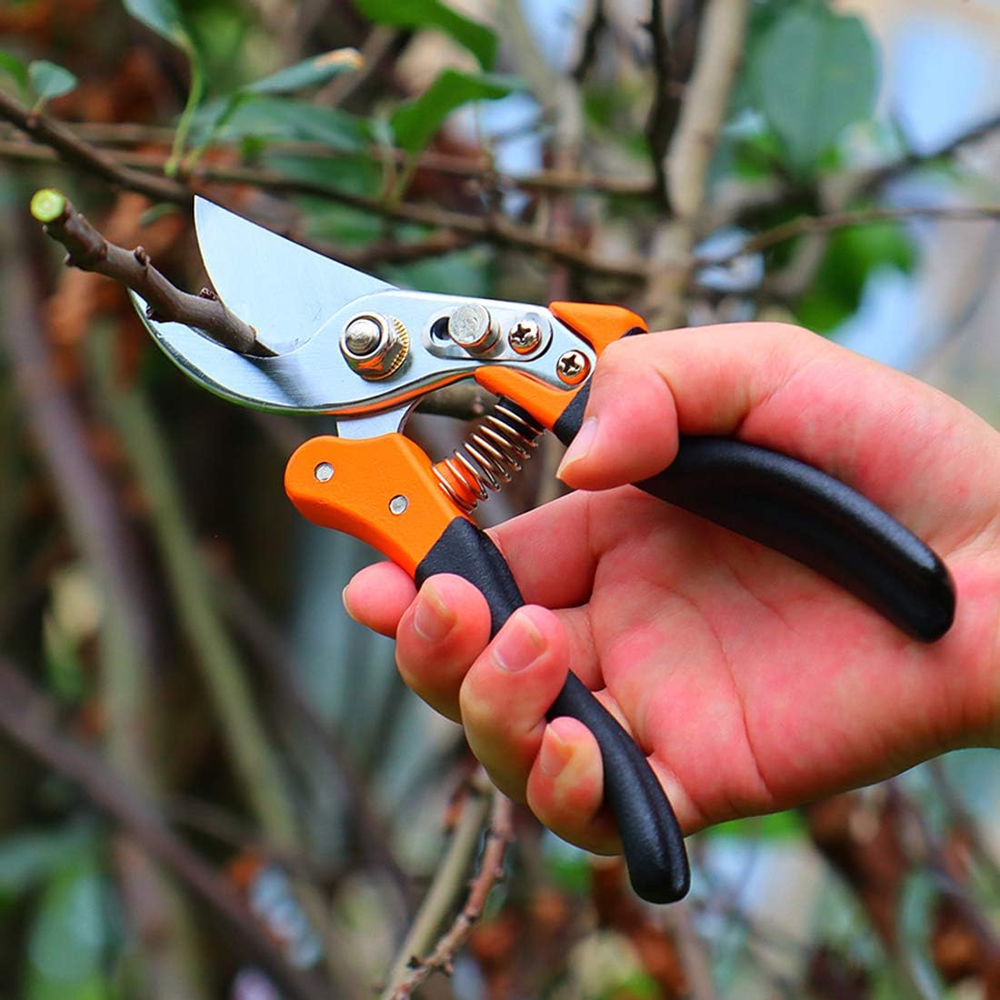 TOOLZYZ Pruning Shears, Hand Pruner with Stainless SK5 Steel Blades 8.6" Tree Trimmers Secateurs, Garden Shears Tools, Clippers for The Garden-Black : Garden & Outdoor