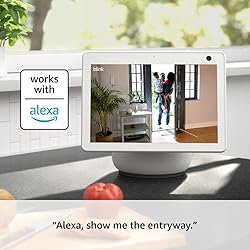 Blink Mini 2 — Home Security & Pet Camera(s) with