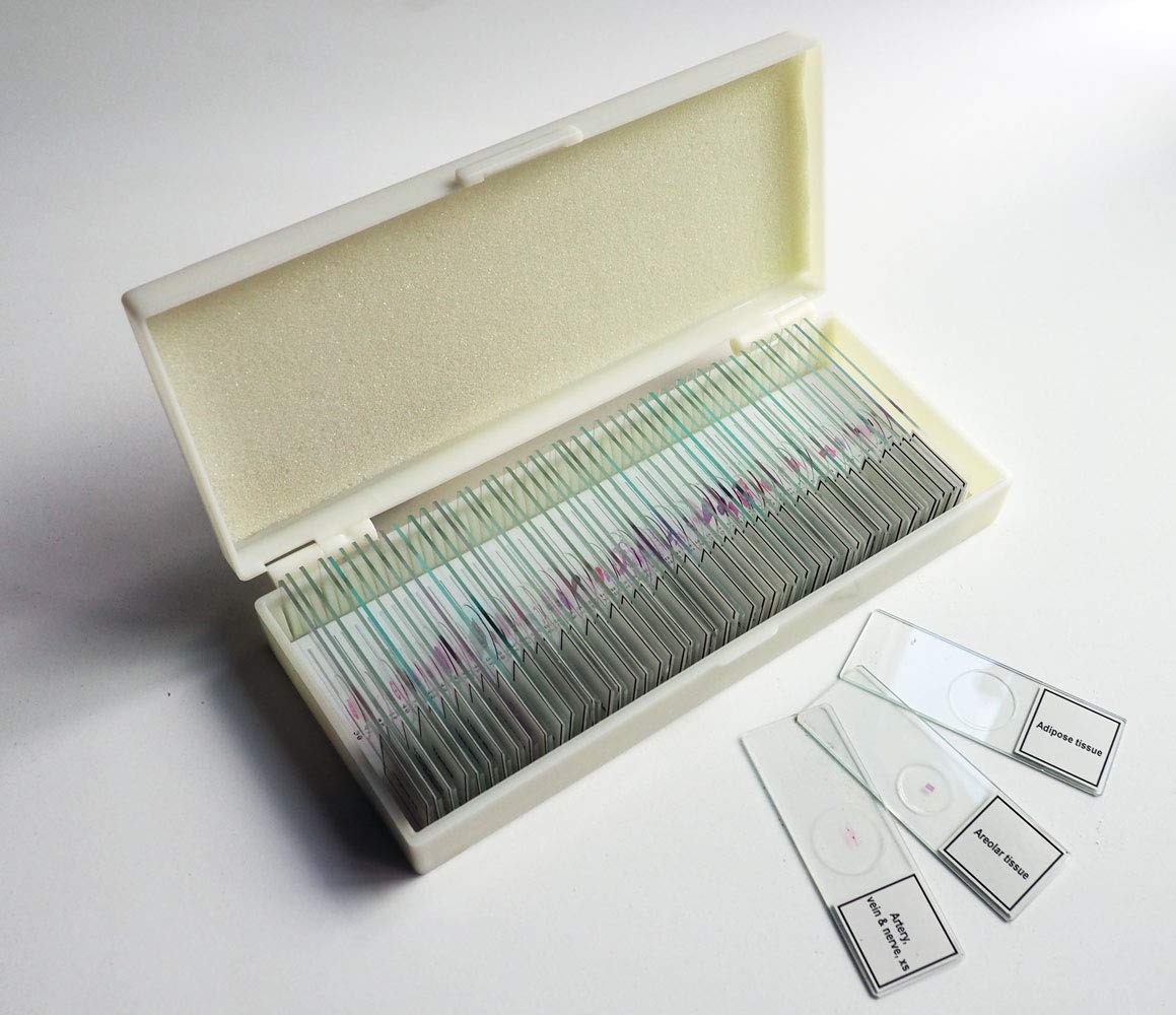 50 Piece Mammalian Histology Prepared Slide Set Microscope Slides