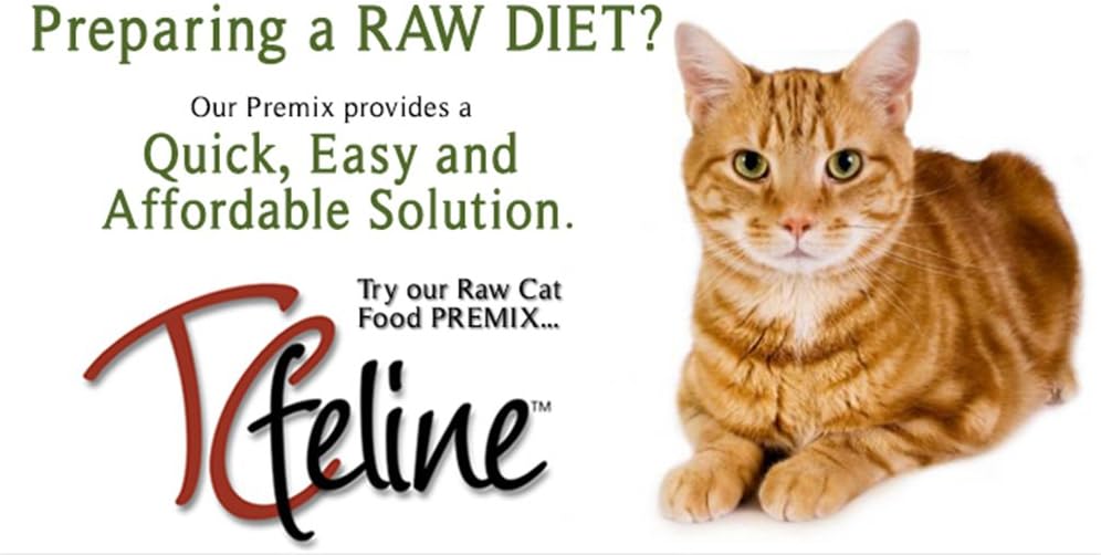 cat supplement for homemade food