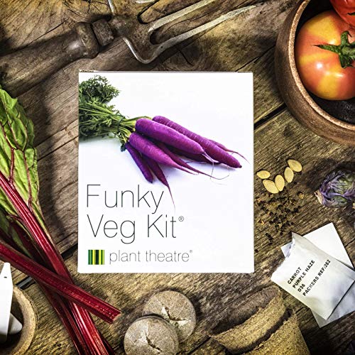 Plant Theatre Funky Vegetable Garden Starter Kit Grow Kit with 6