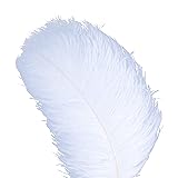 AWAYTR 20-22 inch (50-55cm) Natural Ostrich
