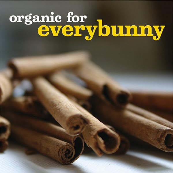 ANNIE’S ORGANIC GRAHAM CRACKERS, CINNAMON, MADE WITH WHOLE GRAIN, 14.4 OZ