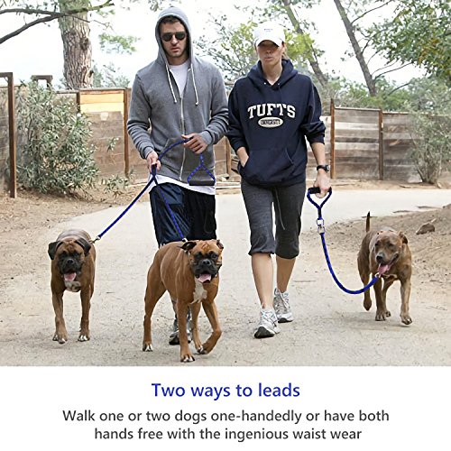Startostar Detachable Double Dog Leash No-Tangle 2 in 1 Dual Pet Lead with Swivel Padded Handle for One or Two Dogs (Blue)