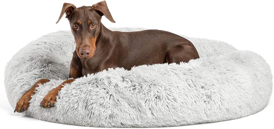 shaggy dog bed