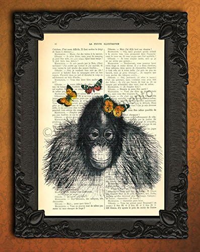 Baby orang utan orange butterflies wall decor Retro decorative monkey art print