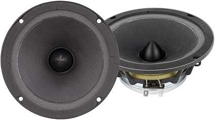pyle pro 21 woofer