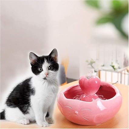 Fontaine à Eau Pour Chat Céramique Fontaine For Animaux En