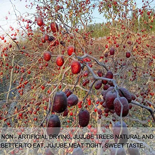 Wananfu - Jujube Fruit Dried 17.6oz - Red Jujube Dates / Hongzao (红枣) - Healthy Snacks Superfood - Image 8