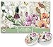 Michel Design Works 25-Count Paper Placemats, Orchids in Bloom