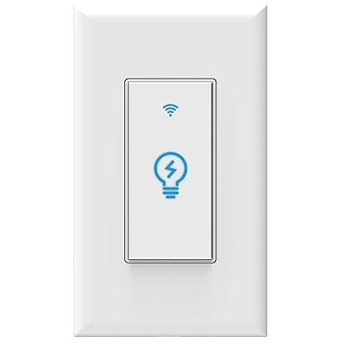 smart light switch amazon echo