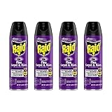 Raid Flea Killer Carpet and Room Spray