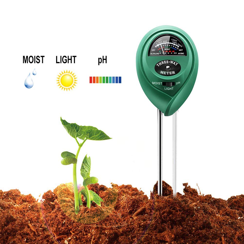 Best home indoor garden kit