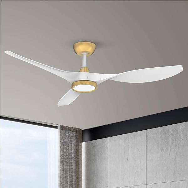 ROOMRATV CEILING FANS WITH LIGHTS,LARGE AIRFLOW 52INCH MODERN...