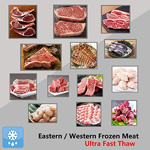 5 PDair+Defrosting+Quickest+Electricity+Microwave