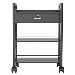 Salon Beauty Cabinet Cart Trolley 2-Layer Rolling