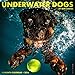 Underwater Dogs 2016 Wall Calendar (12x12)