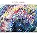 LIPHISFUN DIY 5D Diamond Painting by Number Kit for Adult, Full Round Resin Beads Drill Diamond Embroidery Dotz Kit Home Wall Decor,30x40cm,African Girl