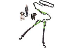 PET DREAMLAND Exquisite Hands Free Double Dog Leash for Medium Dogs - Dual Dog Leash - Two Dog Leash No Tangle - Dog Leash for 2 Dogs - Double Leash - Leash Splitter - Double Leash Coupler (Medium, Black & Green)