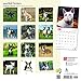 Bull Terriers 2018 Calendar
